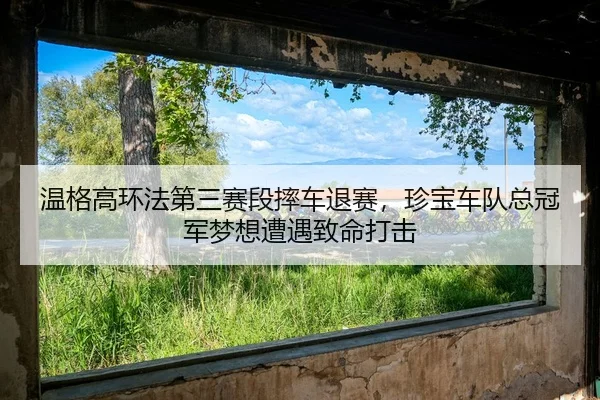 wen-ge-gao-huan-fa-di-san-sai-duan-shuai-che-tui-sai-zhen-bao-che-dui-zong-guan-jun-meng-xiang-zao-yu-zhi-ming-da-ji-2-928.jpg